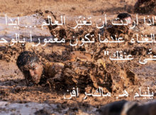 رتب سريرك