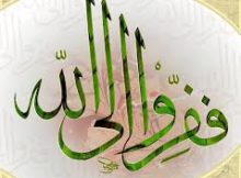 فَفِرُّوا إِلَى اللَّهِ ۖ إِنِّي لَكُم مِّنْهُ نَذِيرٌ مُّبِينٌ